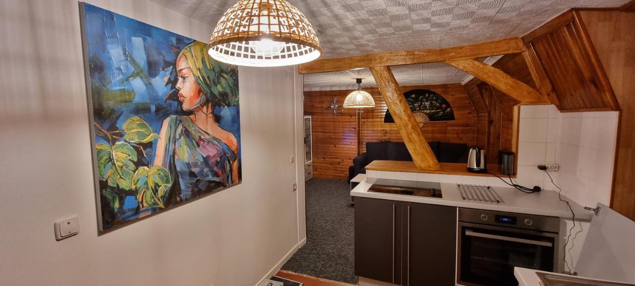 Chambre Privee Numero 1 Dans Un Superbe Appartement En Colocation Montataire Экстерьер фото